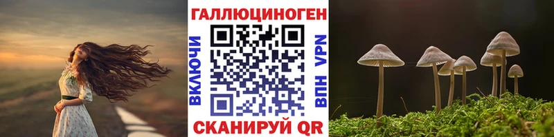 mega   купить наркоту  Алатырь  Псилоцибиновые грибы Magic Shrooms 